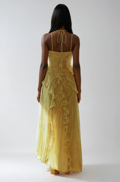 Chloe | Women's Embroidered Halterneck Maxi Dress